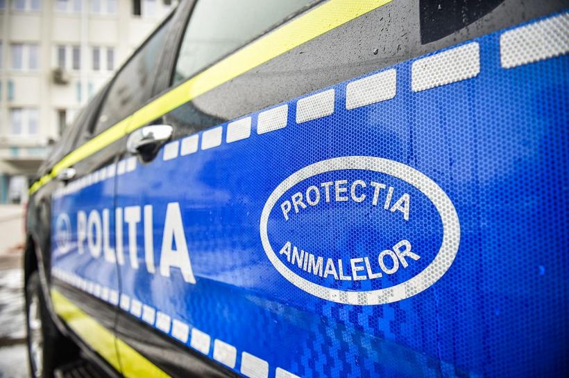 Polițiștii veterinari vor putea acorda primul ajutor animalelor rănite înainte să facă hârțogăraia 