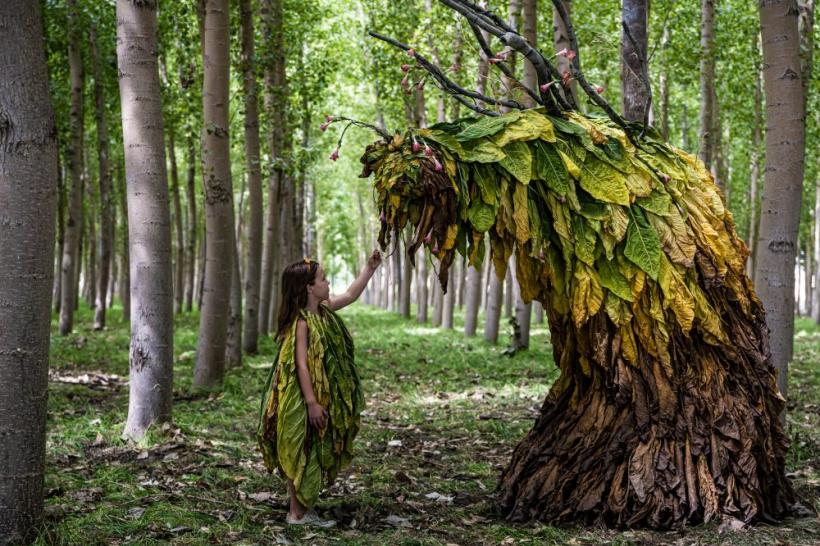 Selecția SMART7 la TIFF.22:  voci inovatoare din șapte țări europene 18835995