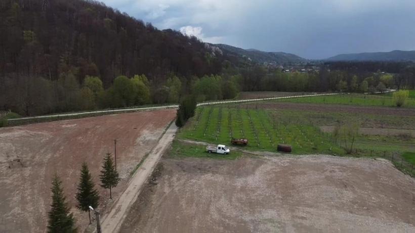 Mănăstirea  Argeșului, varianta în care te zidesc între dosare 18836152