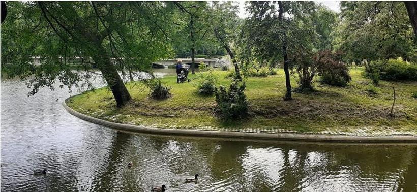 Parcul Carol I va avea un sistem modern de irigații pentru spații verzi