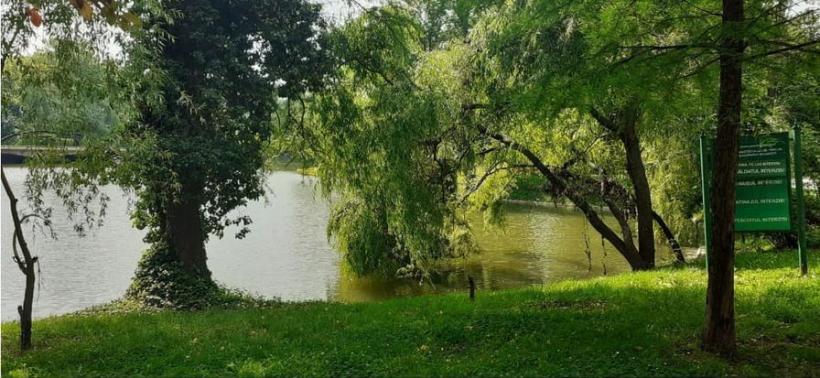 Parcul Carol I va avea un sistem modern de irigații pentru spații verzi 18836411