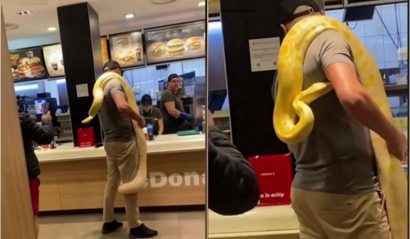 Apariție incredibilă într-un fast-food din România. Un bărbat a intrat cu un piton uriaș la gât