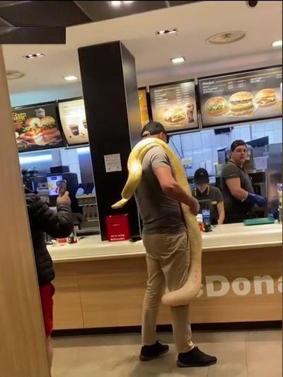 Apariție incredibilă într-un fast-food din România. Un bărbat a intrat cu un piton uriaș la gât 18836505