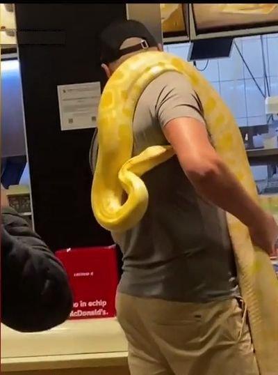 Apariție incredibilă într-un fast-food din România. Un bărbat a intrat cu un piton uriaș la gât 18836506