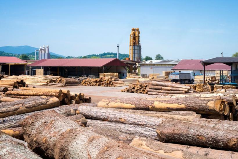 Tranzacție majoră pe piața prelucrării lemnului. O importantă fabrică din România a fost preluată de germanii de la Ziegler Grup