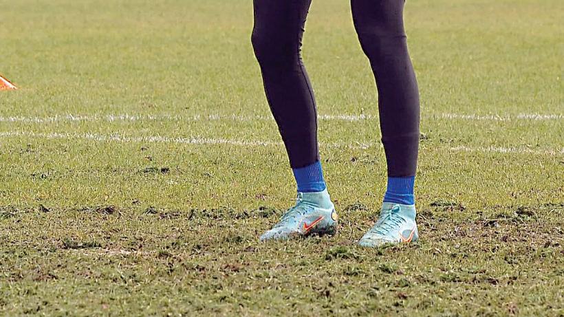 Căpușele fac primele victime în Timiș 18836793