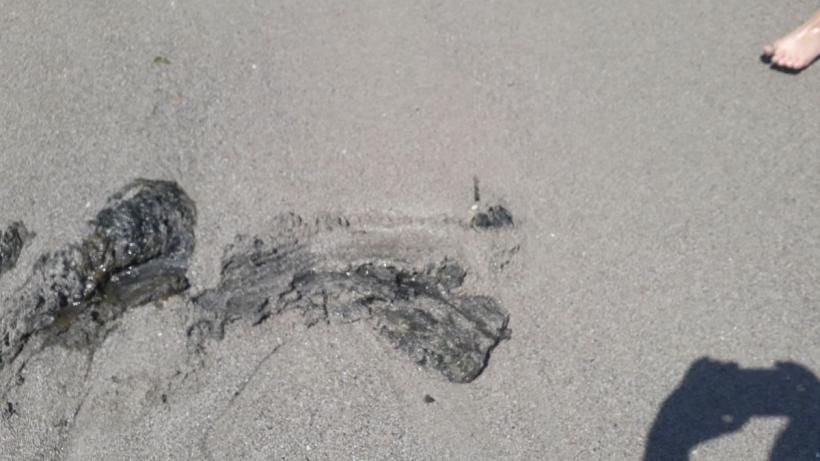 Turiștii au ajuns pe litoral, administratorii plajelor nu au voie să pună șezlonguri 18836841