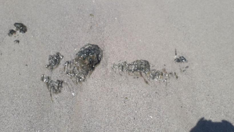 Turiștii au ajuns pe litoral, administratorii plajelor nu au voie să pună șezlonguri 18836842