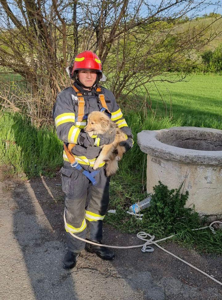 Pompierii tulceni au salvat un câine care căzuse într-o fântână de 12 metri