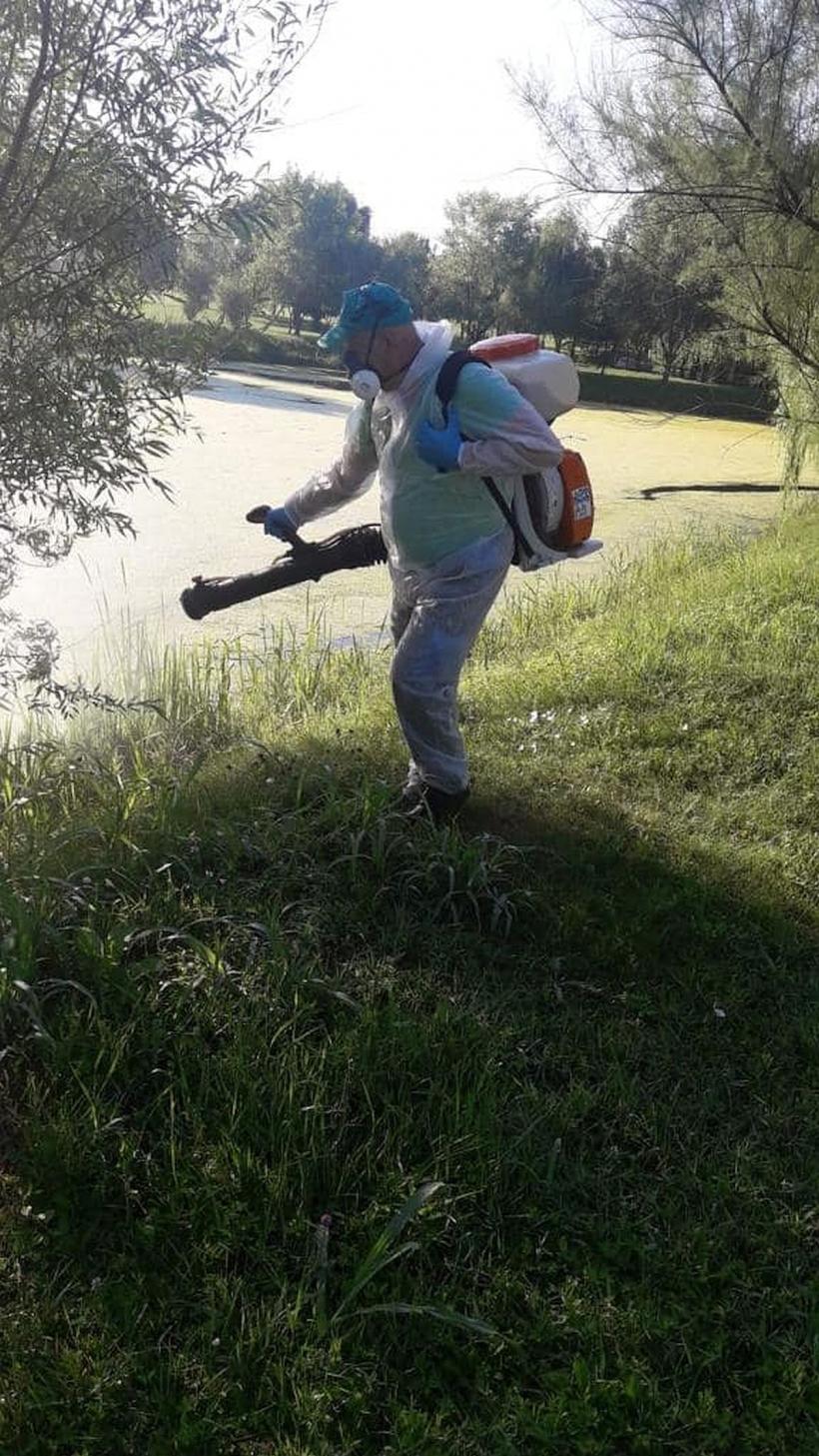 Primăria Capitalei declară război țânțarilor. Când începe marea igienizare 18837451