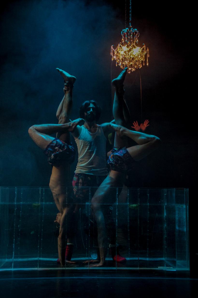 Balerinele acvatice, PREMIERĂ la METROPOLIS.  Balerinele acvatice, proiect câștigător în programul “StarT” 18837481