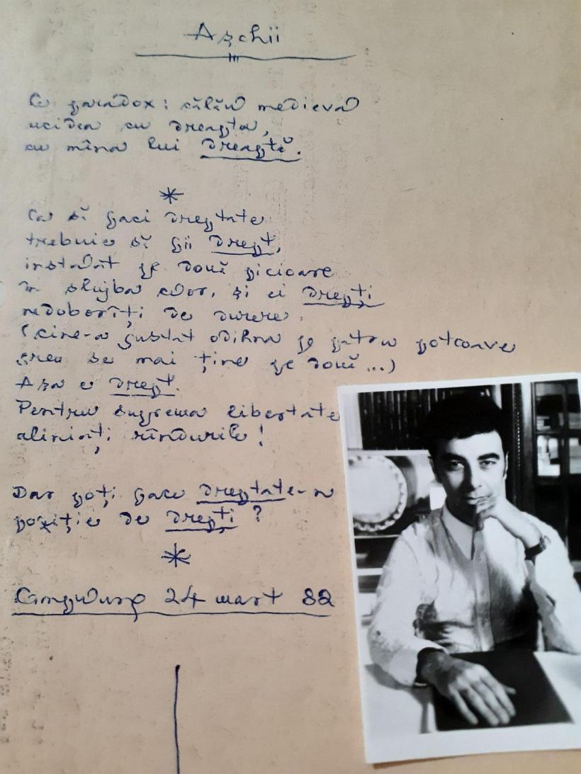 „Tom”, scutierul grațios al generației Labiș 18837561