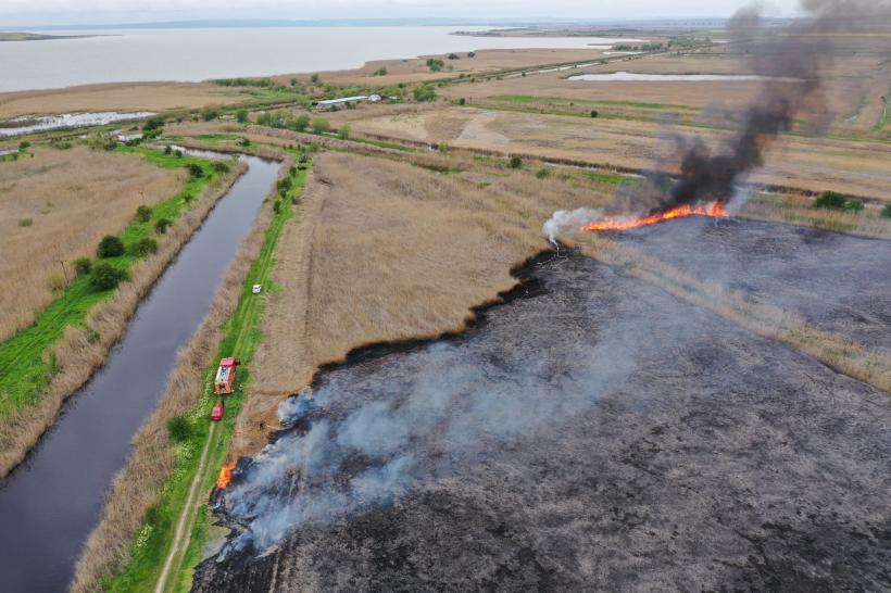 Incendiu de amploare la o fermă stuficolă din județul Tulcea
