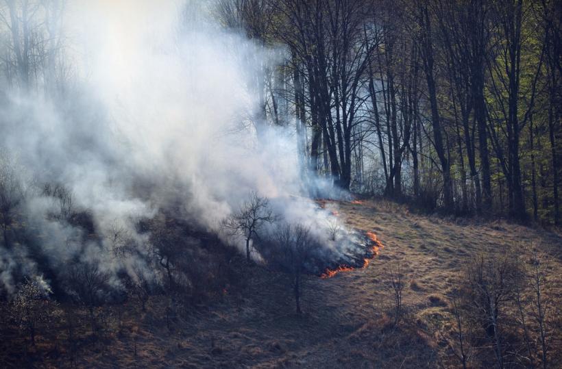 Alberta declară stare de urgență din cauza incendiilor de vegetație. Zeci de mii de oameni, evacuați