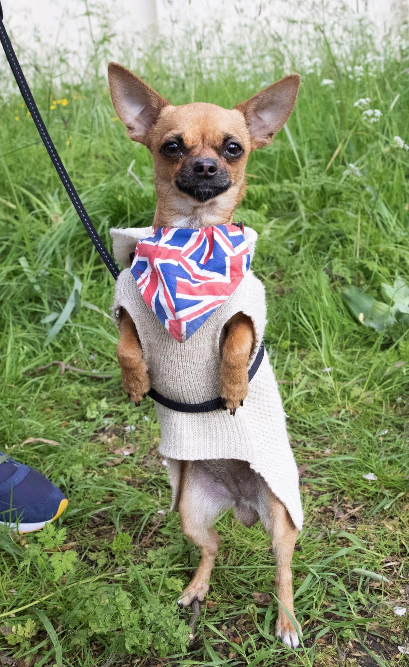 Încoronarea Regelui Charles al III-lea, în cele mai spectaculoase imagini 18838236