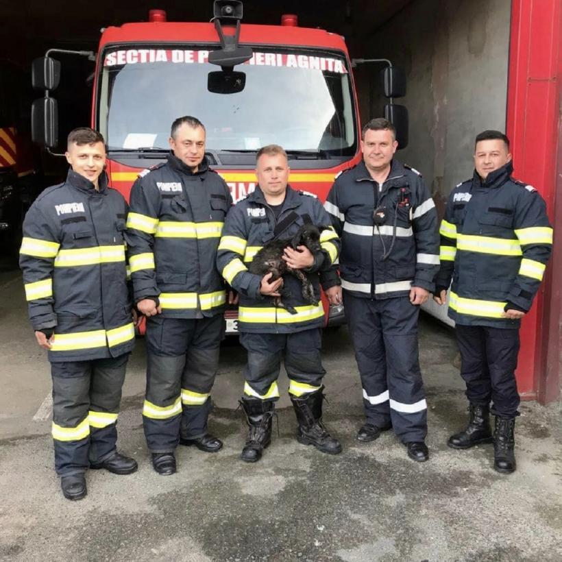 Misiune specială: Cățel salvat de pompieri 18838300