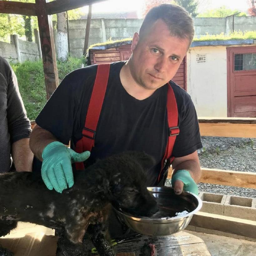 Misiune specială: Cățel salvat de pompieri 18838301