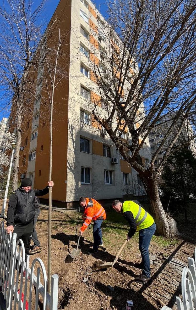 Peste 100 milioane lei, despăgubiri plătite anul trecut de către companiile de asigurări 18838296