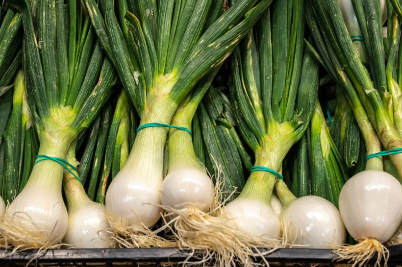 Cum păstrăm verdețurile proaspete? 18838448