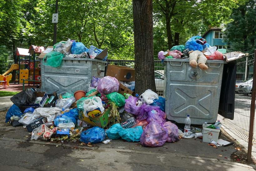 Sărituri peste tomberoane cu premiu de 80 de milioane 18838381