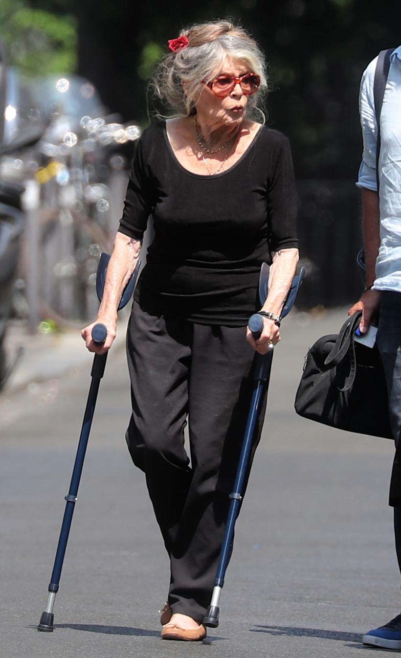 Brigitte Bardot: Parisul trebuia să refuze organizarea Jocurilor Olimpice. Violența dezlănțuită nu este controlată 18838827