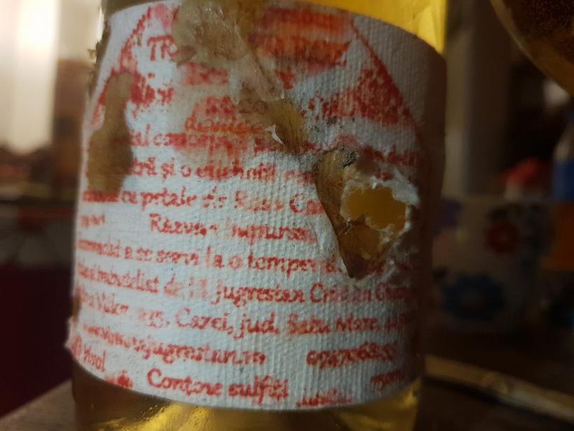 Hârtierul din Apuseni. Cărți din flori de grădină și petale de trandafiri 18838868