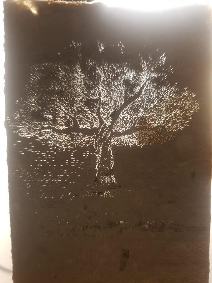 Hârtierul din Apuseni. Cărți din flori de grădină și petale de trandafiri 18838871