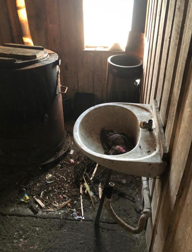 Sclavi în România: Persoane cu handicap, sechestrate și exploatate în pensiuni din Maramureș  18839003