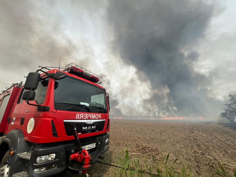 Incendiu în Tulcea. Zeci de hectare de stuf şi vegetaţie uscată mistuite de flăcări