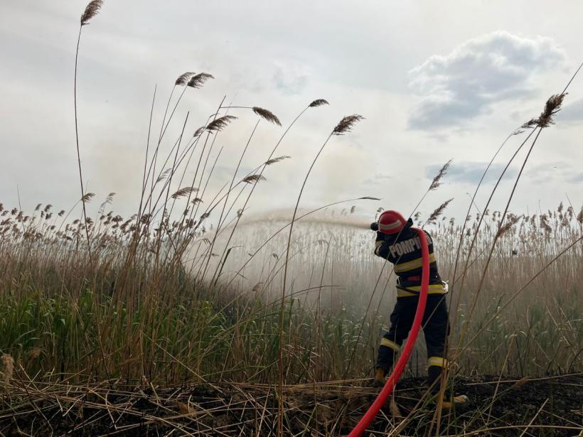 Incendiu în Tulcea. Zeci de hectare de stuf şi vegetaţie uscată mistuite de flăcări 18839161