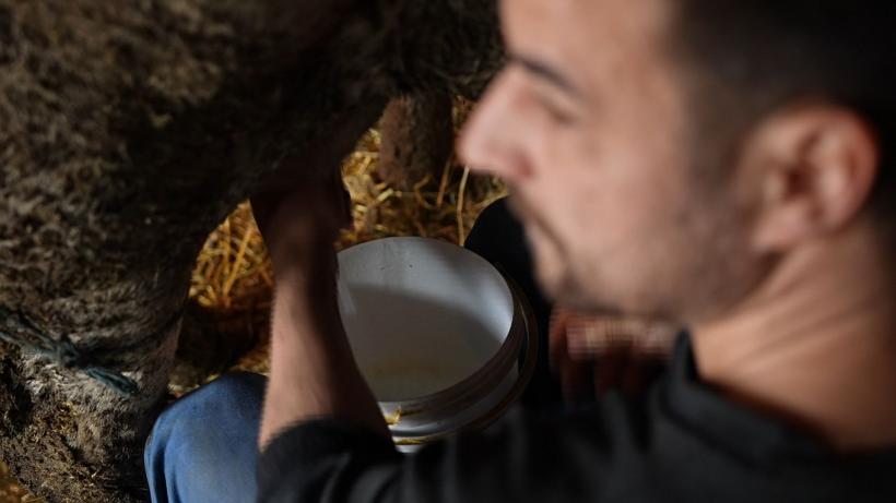 "Sătul de oraș", seria de reportaje Observator, Antena 1,o radiografie a fenomenului masiv pe care îl reprezintă mutarea tinerilor la sat 18839086