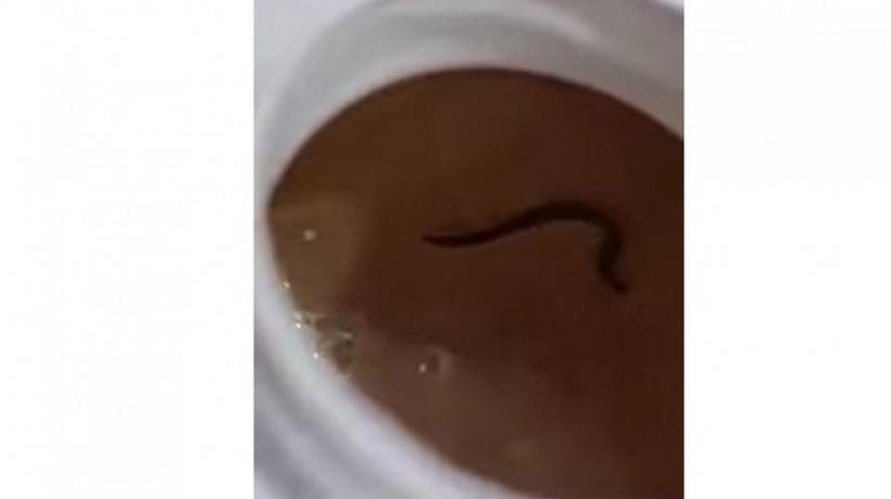 Surpriza din cutia cu lapte. Ce a descoperit un bărbat din Satu-Mare 18839899