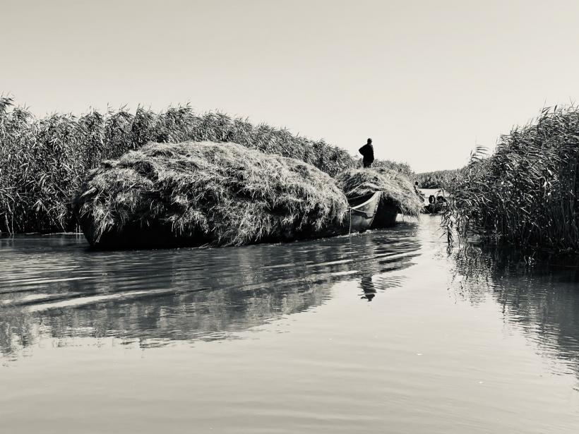 "Acum, Aici, Acolo" este proiectul care reprezintă România la Bienala de Arhitectură de la Veneția 2023 18840036