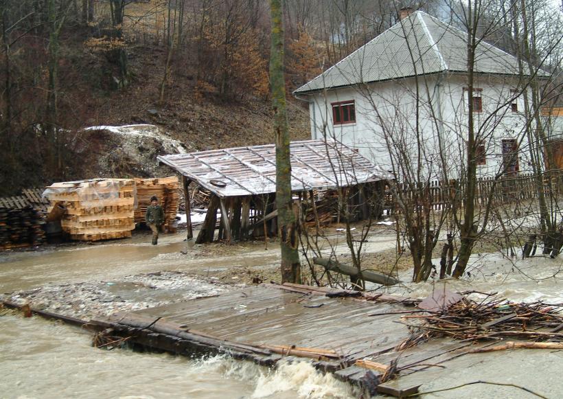 Cod galben de inundații pe râuri din județele Arad și Timiș