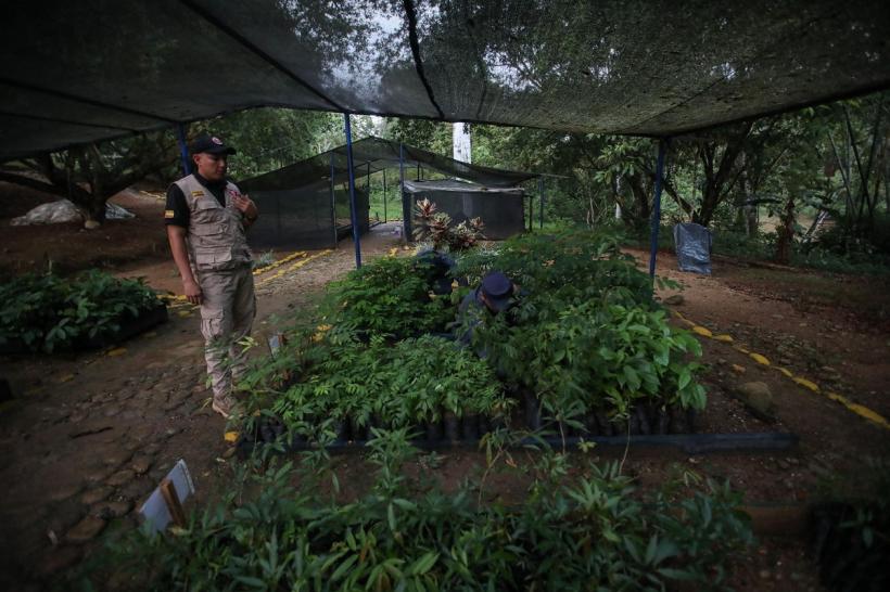 Patru copii, între care un bebeluș, găsiți vii în junglă la două săptămâni după prăbușirea avionului! 18840010