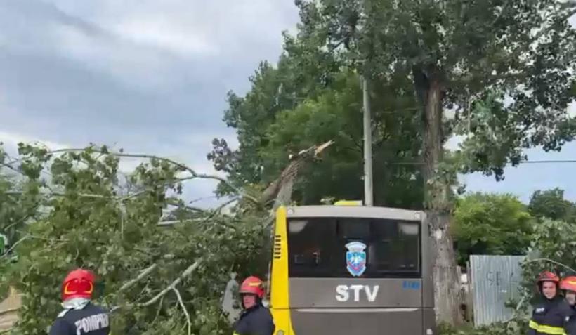 19 maşini avariate în Capitală. O persoană a fost rănită de un copac 18840378