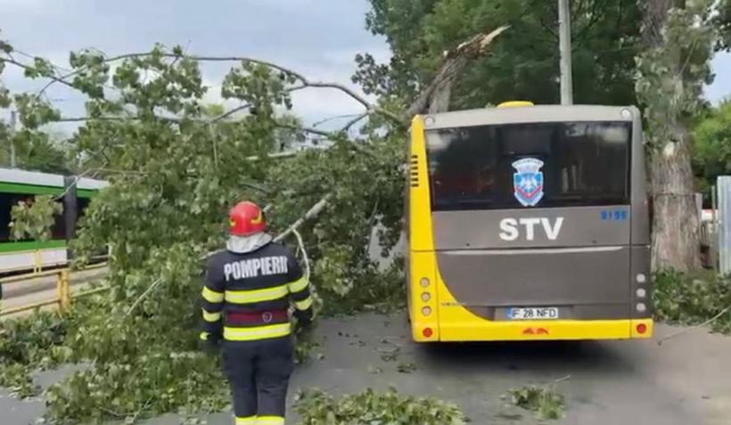 19 maşini avariate în Capitală. O persoană a fost rănită de un copac 18840379