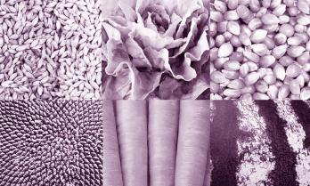 Începe Bienala de Arhitectură de la Veneția, unde România participă cu proiectul „ACUM-AICI-ACOLO” / „NOW HERE THERE“ 18839994