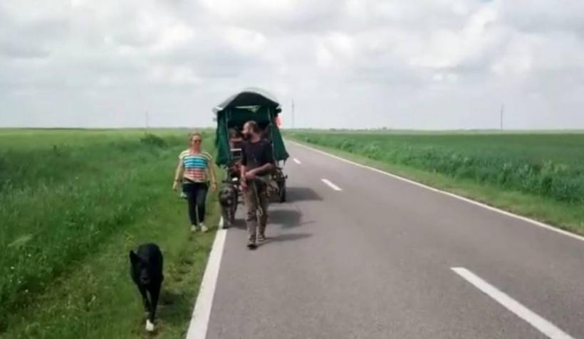 O familie de francezi, care călătoresc prin lume cu o căruță trasă de un măgar, au ajuns în România. Povestea fantastică a acestei călătorii 18840518