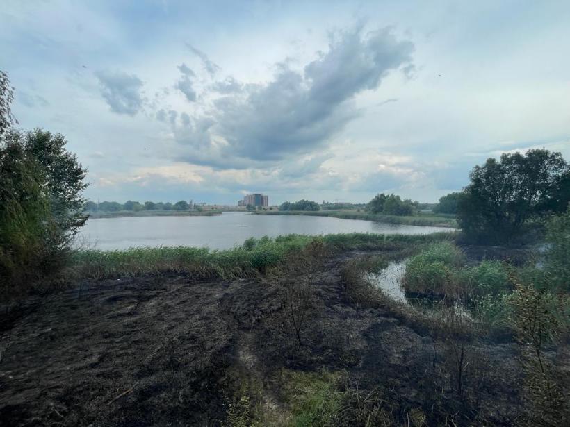 Incendiu puternic în Delta Văcărești. Flăcările s-au extins pe zeci de mii de metri pătrați 18840583