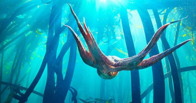 Prima ediție LYNX Festival, eveniment de fotografie și film documentar dedicat exclusiv naturii, are loc între 1 – 5 iunie la Brașov 18839801