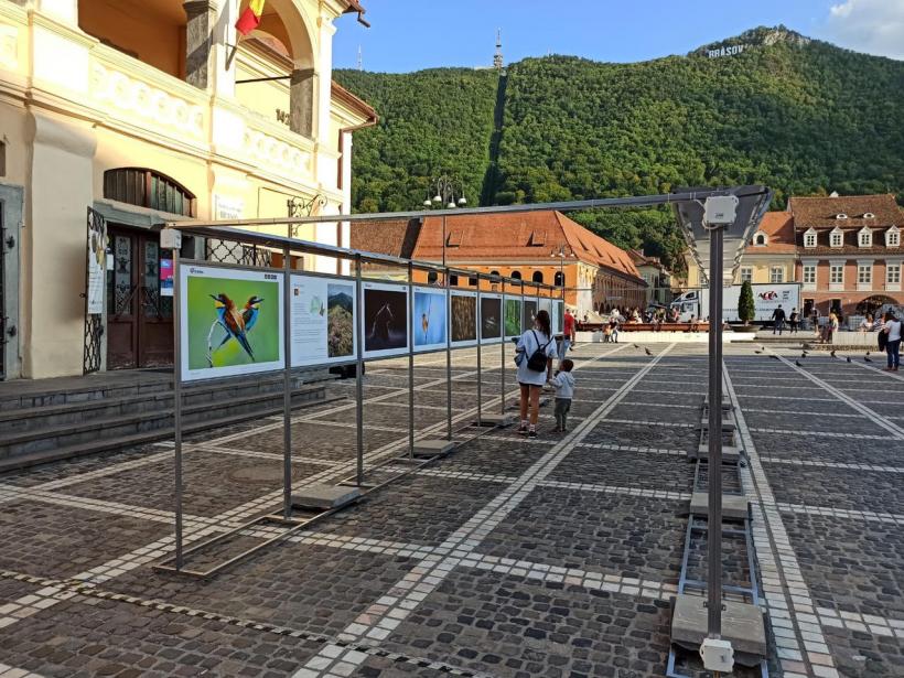 Prima ediție LYNX Festival, eveniment de fotografie și film documentar dedicat exclusiv naturii, are loc între 1 – 5 iunie la Brașov 18839802