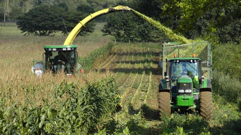 Cum reușesc fermierii români să nu mai stea la mâna intermediarilor. Cerealele, vândute la preț mai bun 18840595