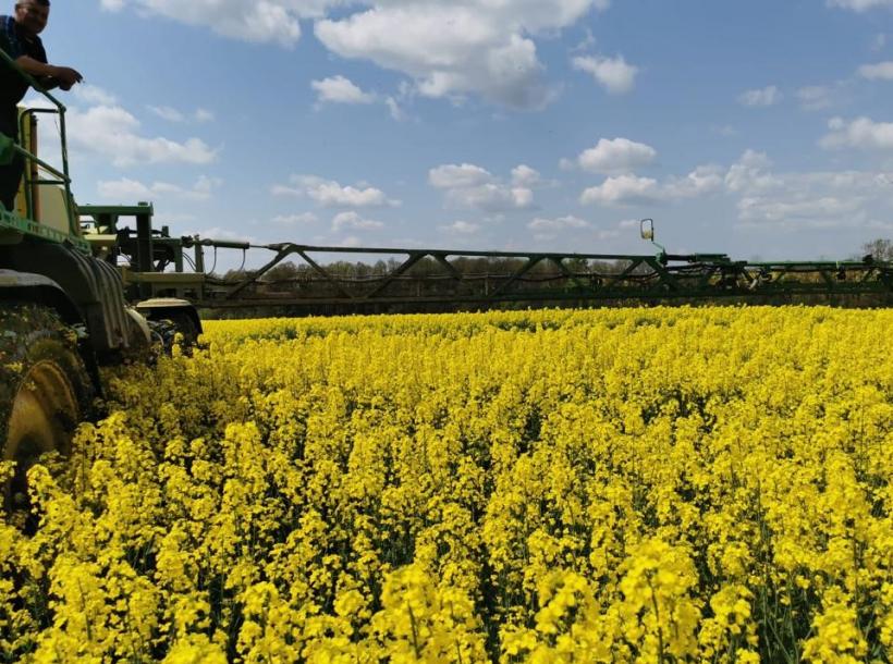 Cum reușesc fermierii români să nu mai stea la mâna intermediarilor. Cerealele, vândute la preț mai bun 18840598