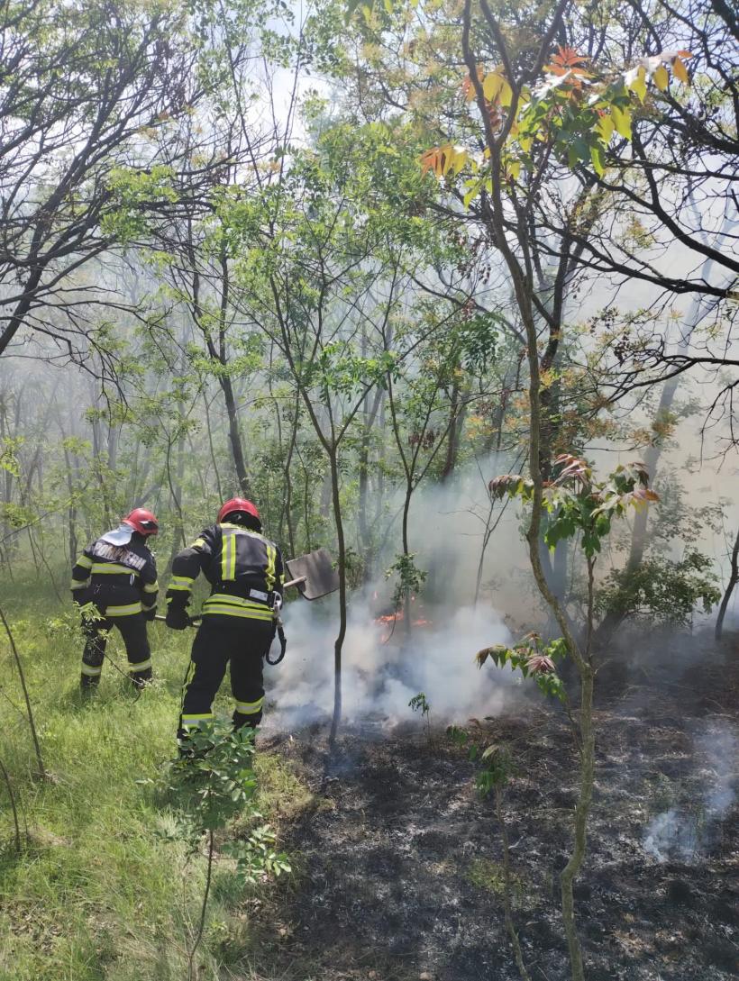 Weekend de foc pentru salvatorii tulceni 18840749