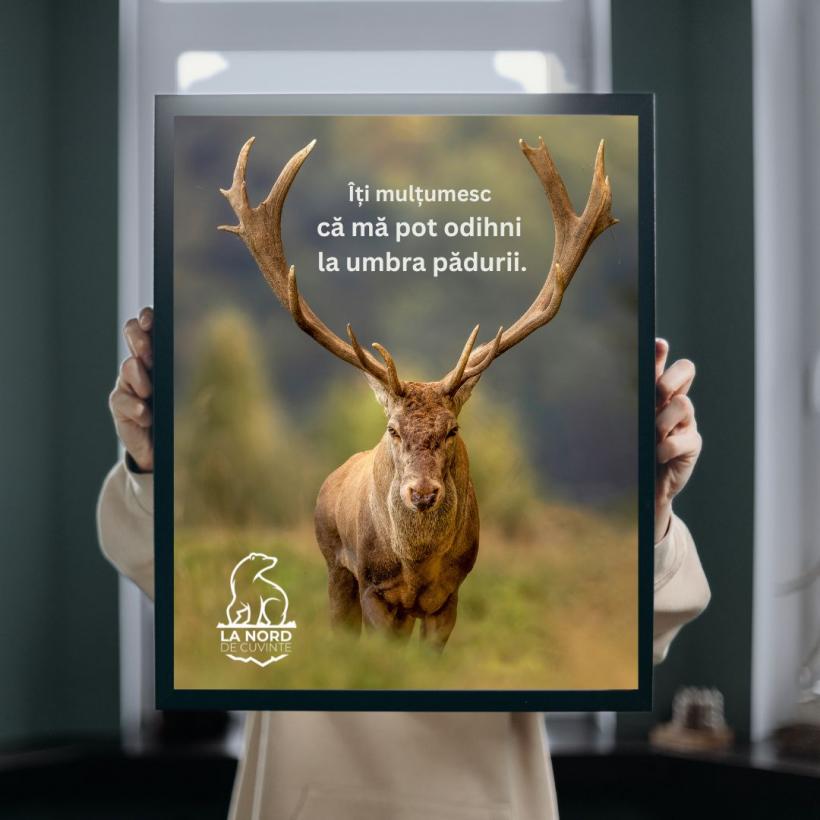 „La NORD de cuvinte”, primul demers al unui fotograf român de a documenta artistic natura și viața sălbatică de lângă Polul Nord 18840907