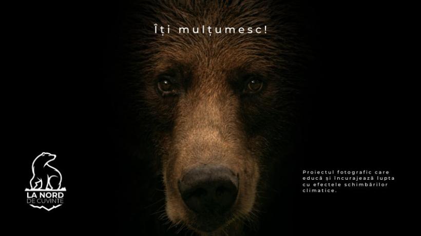 „La NORD de cuvinte”, primul demers al unui fotograf român de a documenta artistic natura și viața sălbatică de lângă Polul Nord 18840909