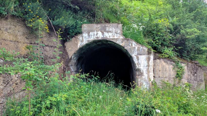 Grădini de legume, irigate cu apă radioactivă 18840936