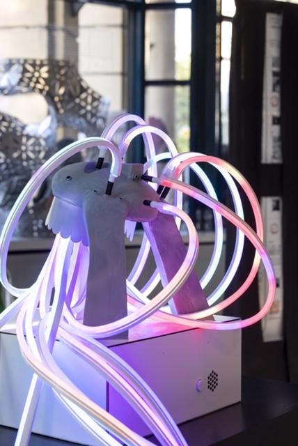 A început Neo Art CONNECT (NAC) – prima anuală de artă și știință 18841283