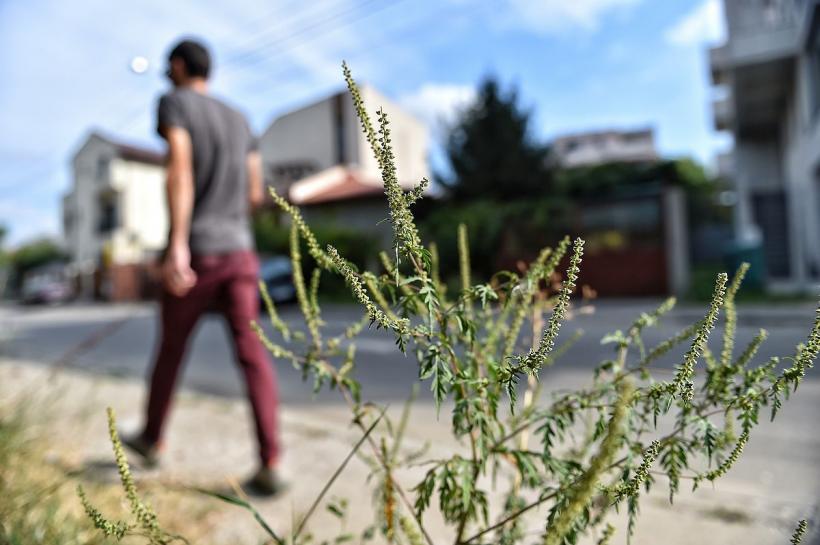 Amenzi imense! Jumătate de milion de români, în pericol 18841510